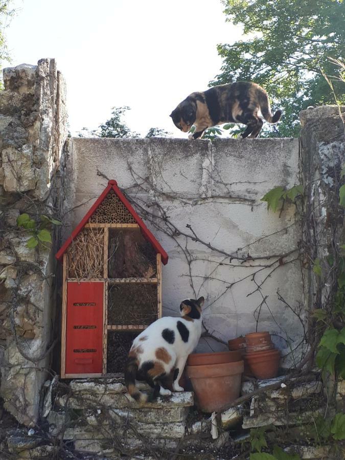 Au Chat Perche Mareil-sur-Mauldre Экстерьер фото